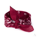 Klassischer Baumwolltuch BANDANA SZ13014 Art of Polo