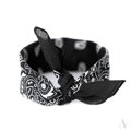 Klassischer Baumwolltuch BANDANA SZ13014 Art of Polo
