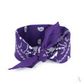 Klassischer Baumwolltuch BANDANA SZ13014 Art of Polo