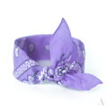 Klassischer Baumwolltuch BANDANA SZ13014 Art of Polo