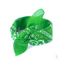 Klassischer Baumwolltuch BANDANA SZ13014 Art of Polo