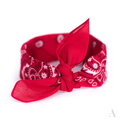 Klassischer Baumwolltuch BANDANA SZ13014 Art of Polo