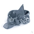 Klassischer Baumwolltuch BANDANA SZ13014 Art of Polo