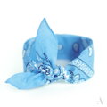 Klassischer Baumwolltuch BANDANA SZ13014 Art of Polo