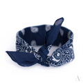 Klassischer Baumwolltuch BANDANA SZ13014 Art of Polo