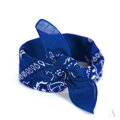 Klassischer Baumwolltuch BANDANA SZ13014 Art of Polo
