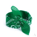 Klassischer Baumwolltuch BANDANA SZ13014 Art of Polo