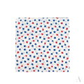 Klassischer farbiger Tuch BANDANA SZ13914 Art Of Polo