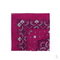 Klassischer farbiger Tuch BANDANA SZ13914 Art Of Polo