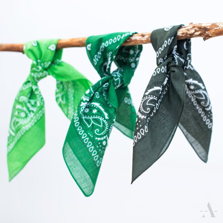 Klassischer Baumwolltuch BANDANA SZ13014 Art of Polo